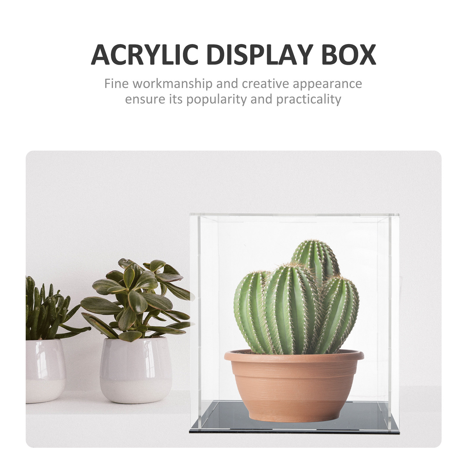 กล่องโชว์อะคริลิกแบบแข็งแรงทนท - Display Case Acrylic บทวิจารณ์และราคา