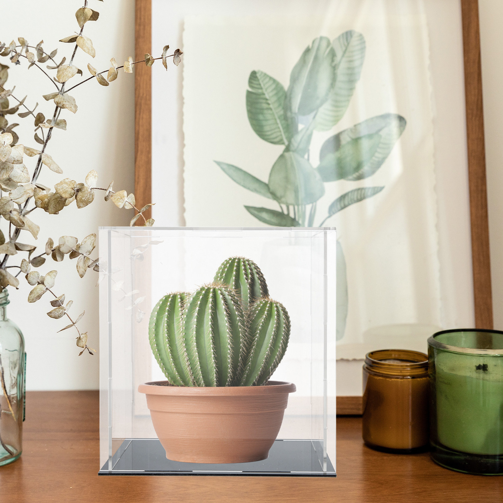 กล่องโชว์อะคริลิกแบบแข็งแรงทนท - Display Case Acrylic บทวิจารณ์และราคา